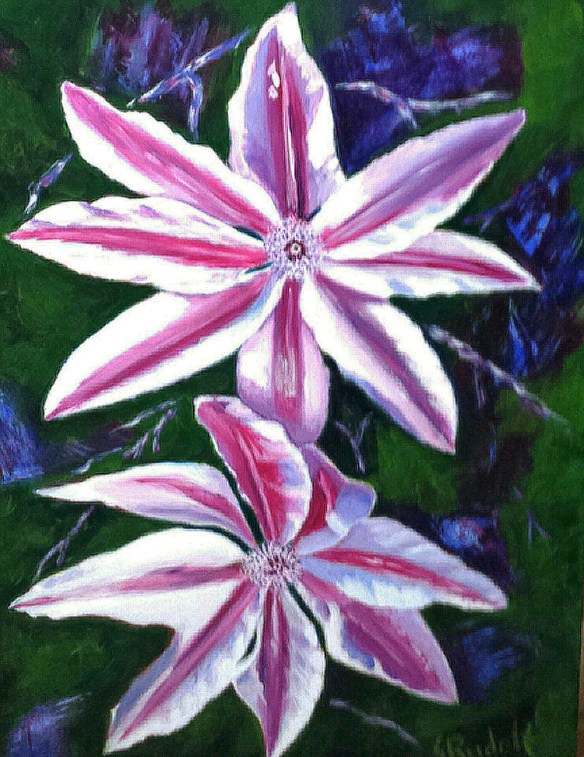 Shirley Rudolf clematisvine